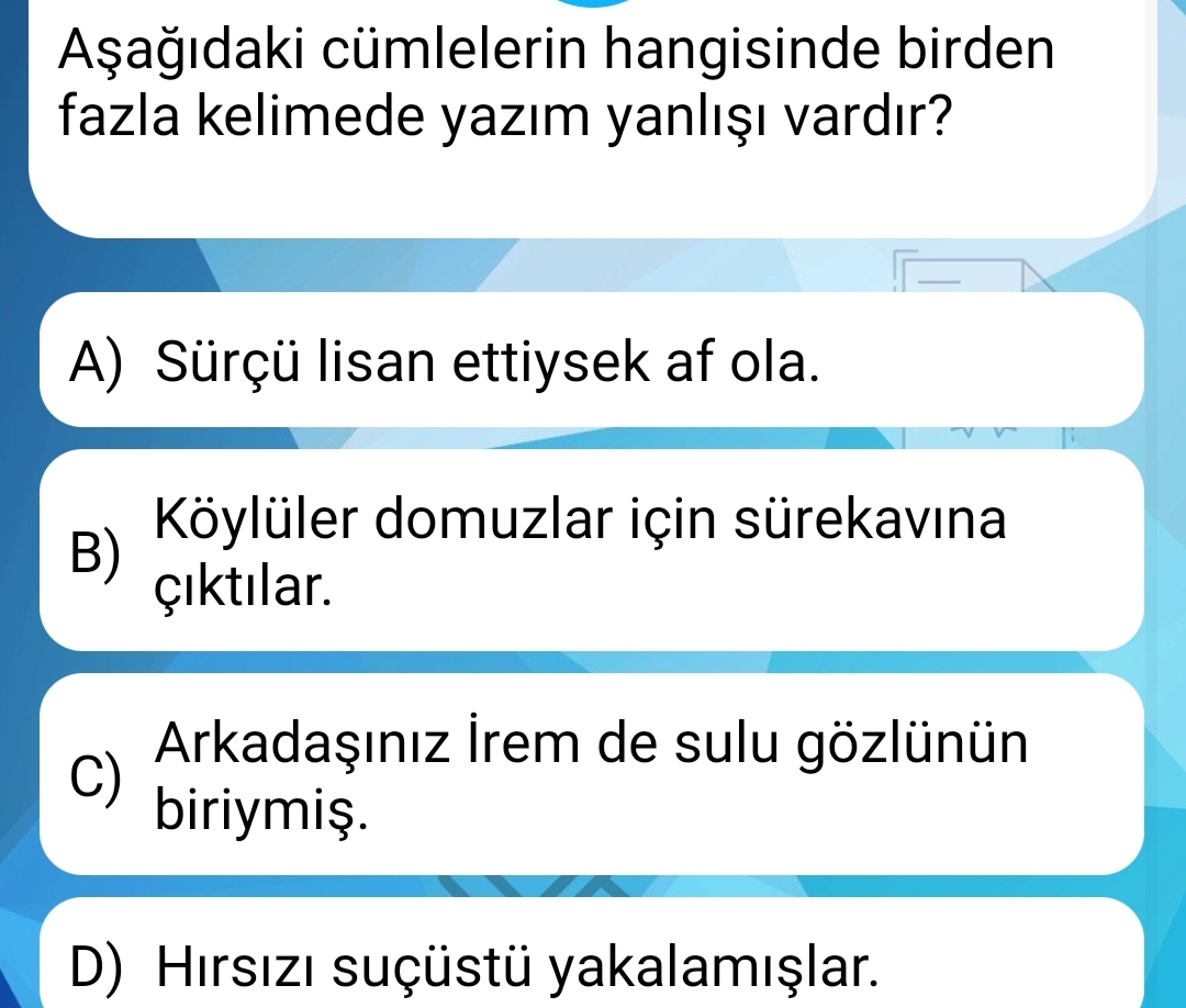 Soru Görseli